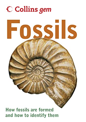 Stock image for Fossils for sale by Better World Books