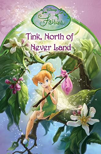 Imagen de archivo de Disney Fairies " Tink, North of Never Land: Chapter Book: No. 13 a la venta por WorldofBooks