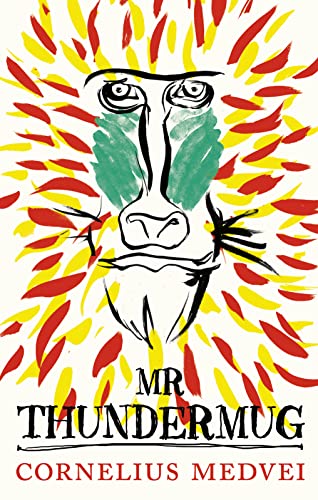 Stock image for Mr Thundermug for sale by Goldstone Books