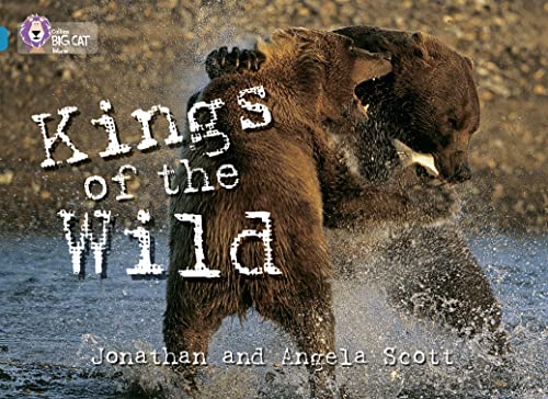 Beispielbild fr Kings of the Wild: BBC documentary makers Jonathan and Angela Scott take us into the Brown Bear kingdom. (Collins Big Cat) zum Verkauf von WorldofBooks