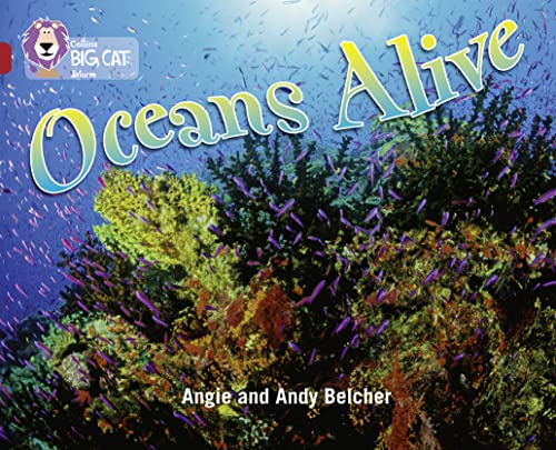 Beispielbild fr Oceans Alive: Find out what lies under the ocean in this stunning photographic book. (Collins Big Cat): Band 14/Ruby Phase 5, Bk. 18 zum Verkauf von Chiron Media