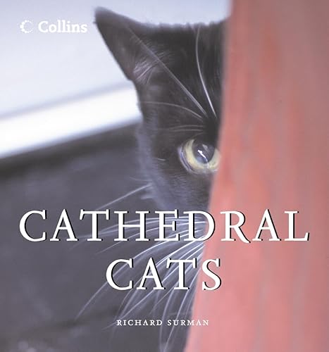 9780007235636: Cathedral Cats