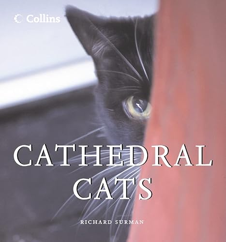 Stock image for Cathedral Cats for sale by ThriftBooks-Reno