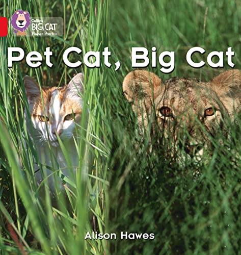 Imagen de archivo de Pet Cat, Big Cat a la venta por Blackwell's