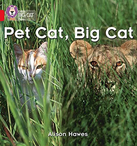 Stock image for Pet Cat, Big Cat for sale by Blackwell's
