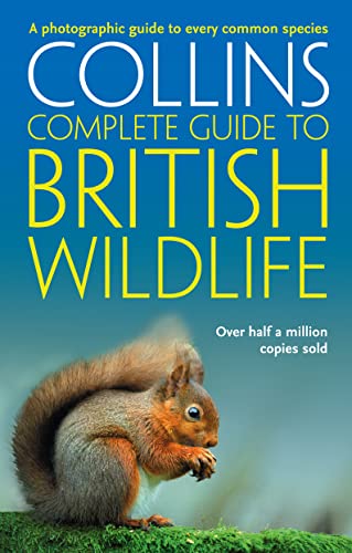 Stock image for British Wildlife: A photographic guide to every common species (Collins Complete Guide) for sale by Chiron Media