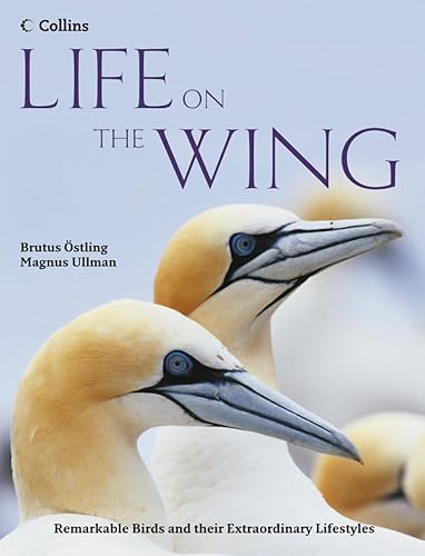 Beispielbild fr Life on the Wing: Remarkable Birds and their Extraordinary Lives zum Verkauf von WorldofBooks