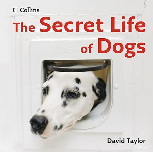 Stock image for The Secret Life of Dogs for sale by WorldofBooks