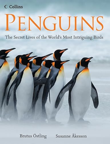 9780007247448: Penguins: The Secret Lives of the World’s Most Intriguing Birds