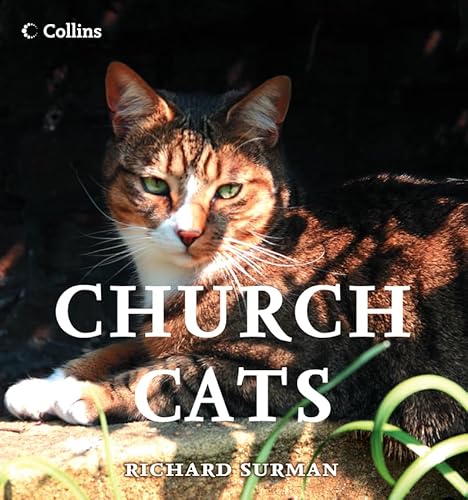 Beispielbild fr Church Cats zum Verkauf von AwesomeBooks