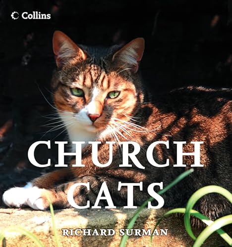 Imagen de archivo de Church Cats a la venta por Better World Books