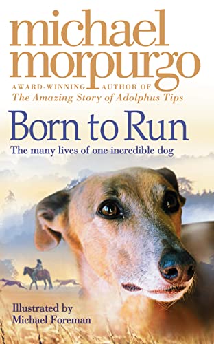Stock image for Born to Run for sale by Goldstone Books