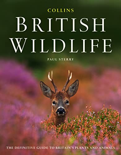 Stock image for Collins Complete British Wildlife: The Definitive Guide to Britain's Plants and Animals for sale by Ergodebooks