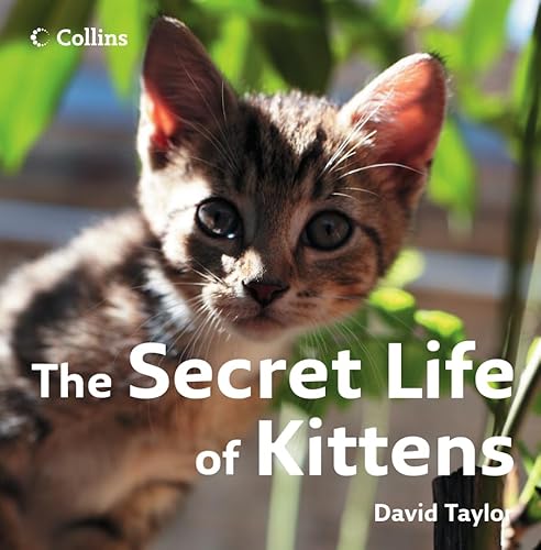 The Secret Life of Kittens (9780007263608) by Taylor, David