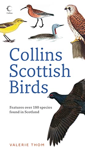 Imagen de archivo de Collins Scottish Birds a la venta por Zoom Books Company