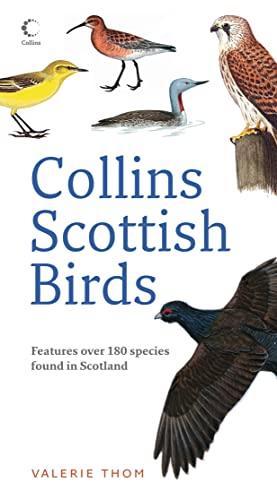 Stock image for Collins Scottish Birds for sale by WorldofBooks