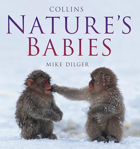 Stock image for Natures Babies for sale by AwesomeBooks