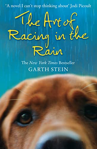 9780007281190: the art of racing in the rain: a novel. garth stein