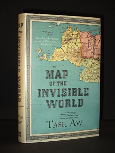 Stock image for Map of the Invisible World for sale by RIVERLEE BOOKS