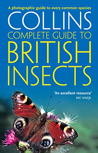 Beispielbild fr British Insects: A photographic guide to every common species (Collins Complete Guide) zum Verkauf von Chiron Media