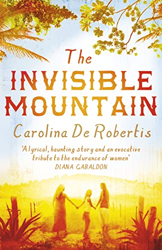 Imagen de archivo de The Invisible Mountain a la venta por Better World Books