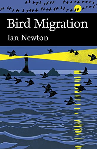 Stock image for Collins New Naturalist Library (113)  " Bird Migration: v. 113 for sale by WorldofBooks