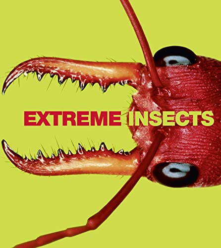 Beispielbild fr Extreme Insects zum Verkauf von WorldofBooks