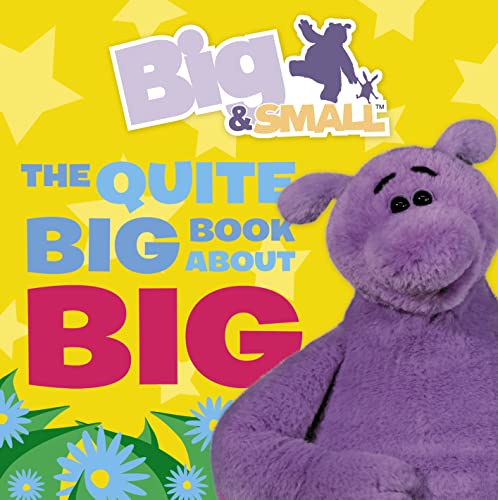 Stock image for Big & Small    The Quite Big Book About Big for sale by AwesomeBooks