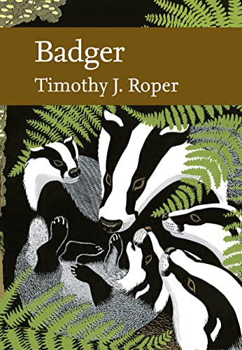 9780007320417: Badger: Book 114