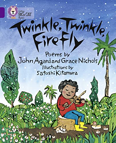 Imagen de archivo de Twinkle, Twinkle, Firefly a la venta por Blackwell's