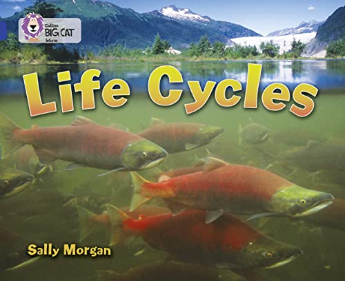 Beispielbild fr Life Cycles: Band 16/Sapphire (Collins Big Cat) zum Verkauf von medimops