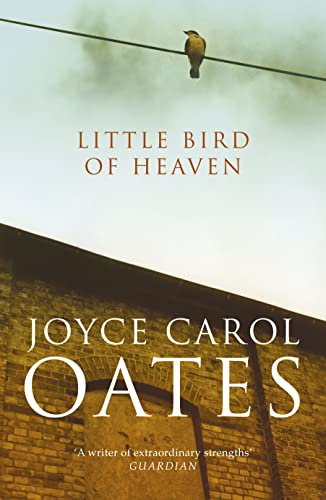 Imagen de archivo de Little Bird of Heaven a la venta por WorldofBooks