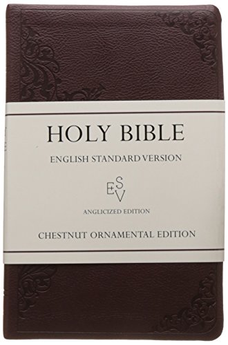 Beispielbild fr Holy Bible: English Standard Version zum Verkauf von WorldofBooks