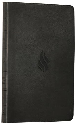 9780007360666: Holy Bible: English Standard Version