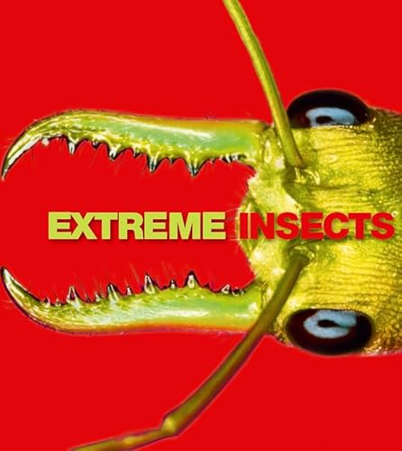 9780007393565: Extreme Insects