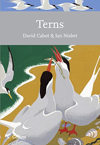 9780007412488: Terns: Book 123 (Collins New Naturalist Library)