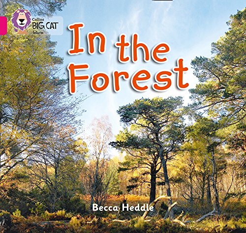 Stock image for In the Forest for sale by Blackwell's