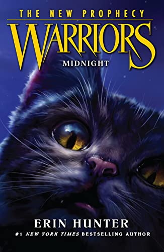 Stock image for Midnight for sale by Blackwell's