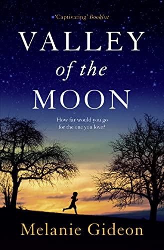 Stock image for VALLEY OF THE MOON for sale by WorldofBooks