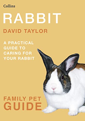 Stock image for Rabbit (Collins Family Pet Guide) for sale by Better World Books: West