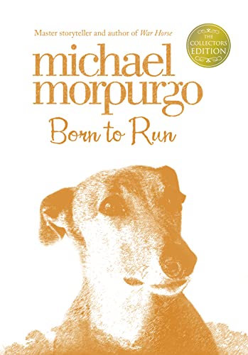 Beispielbild fr Born to Run (Collector  s Edition) zum Verkauf von WorldofBooks