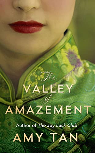 Stock image for The Valley of Amazement for sale by ThriftBooks-Atlanta