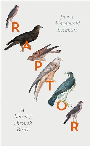 Imagen de archivo de Raptor: A Journey Through Birds a la venta por AwesomeBooks