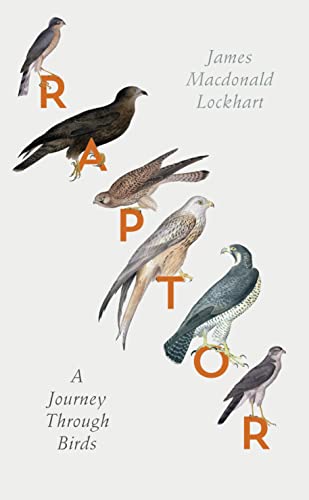 9780007459872: Raptor: A Journey Through Birds