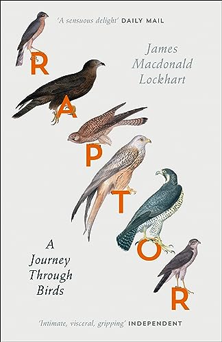 Beispielbild fr Raptor: A Journey Through Birds zum Verkauf von WorldofBooks