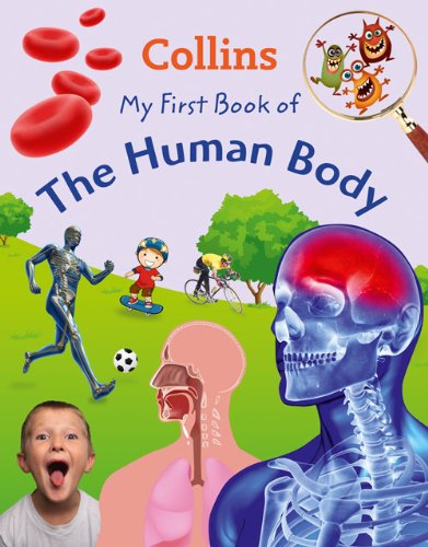 Beispielbild fr My First Book Human Body zum Verkauf von AwesomeBooks