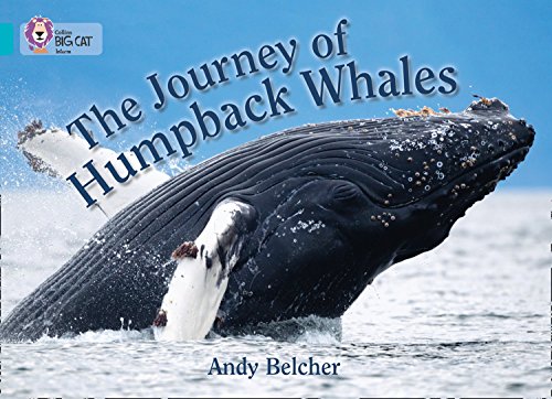 Stock image for The Journey of Humpback Whales for sale by Blackwell's