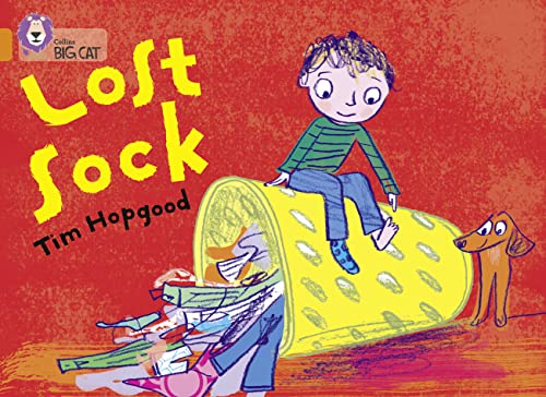 Beispielbild fr Lost Sock zum Verkauf von Blackwell's