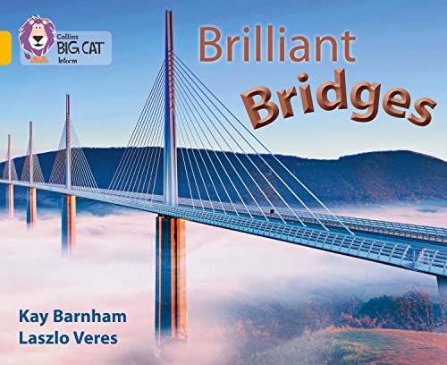 Stock image for Brilliant Bridges for sale by Blackwell's