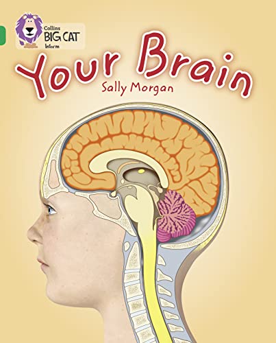 Stock image for Your Brain for sale by Blackwell's